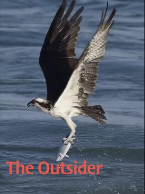 cover image of The Outsider